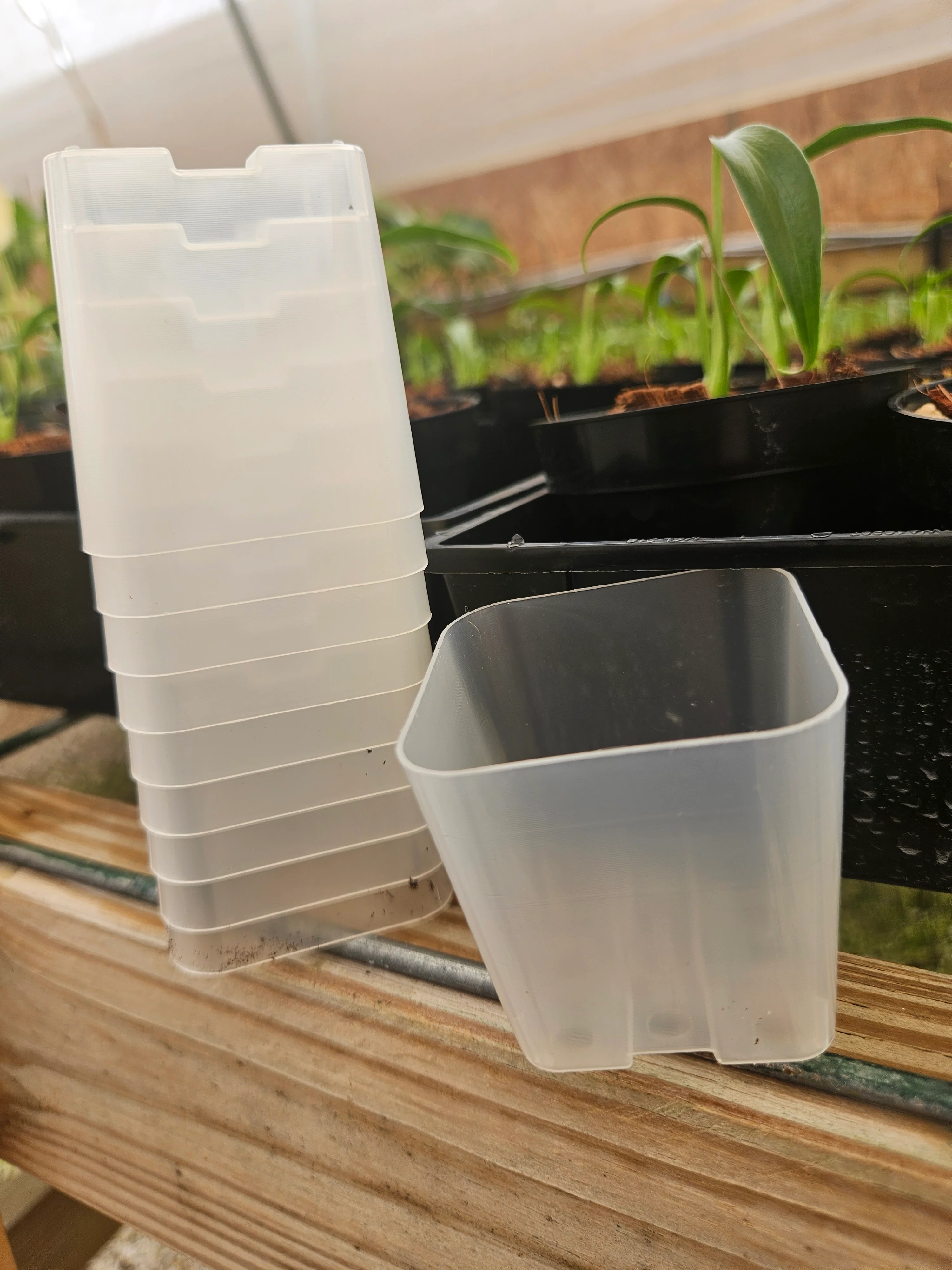 2 Inch Square Clear Pots- 10 pots - Image 7