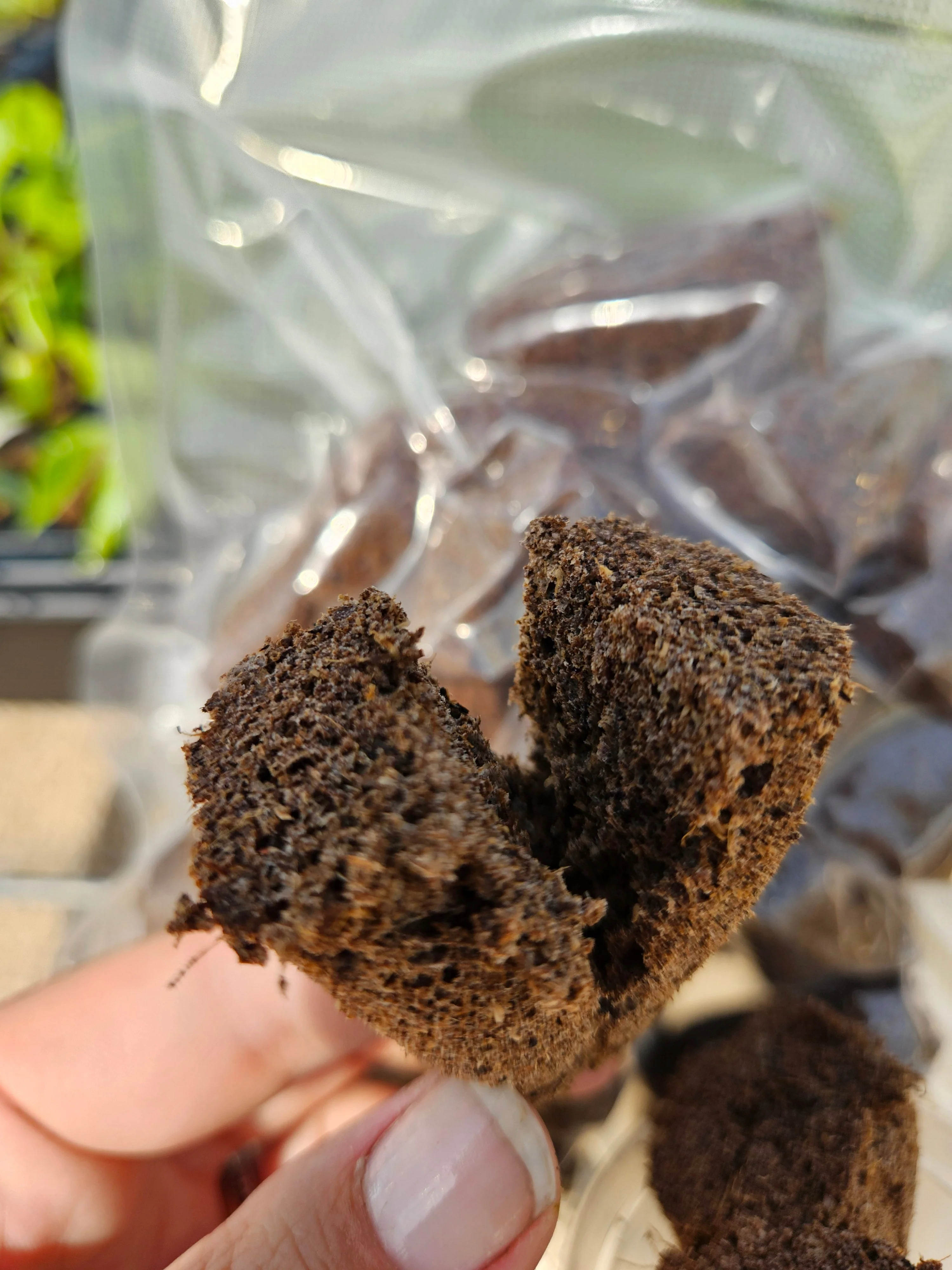 25 Potting Plugs - Image 6