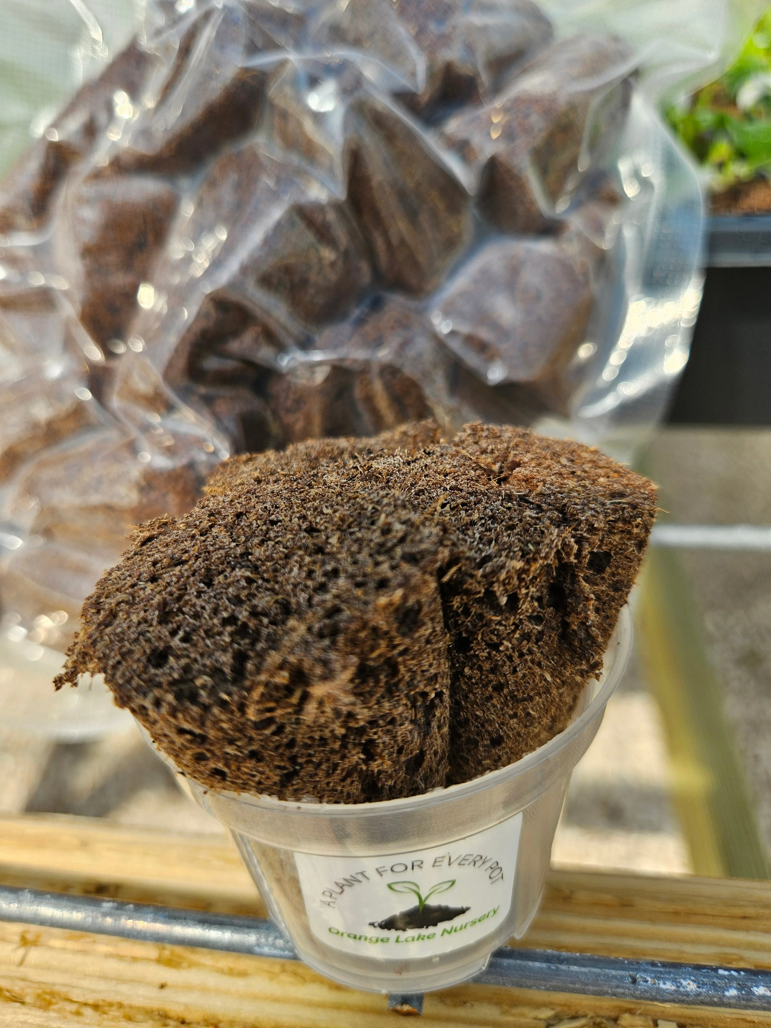 25 Potting Plugs - Image 8