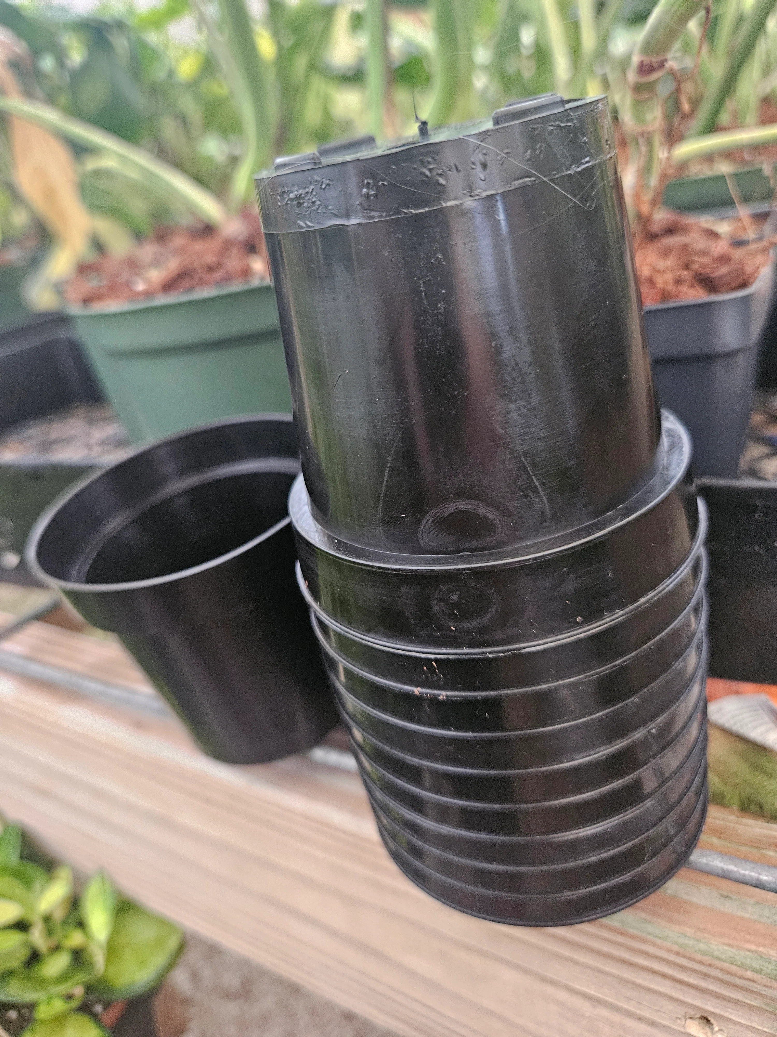 3 Inch Nursery Pots- 10 pots - Image 7