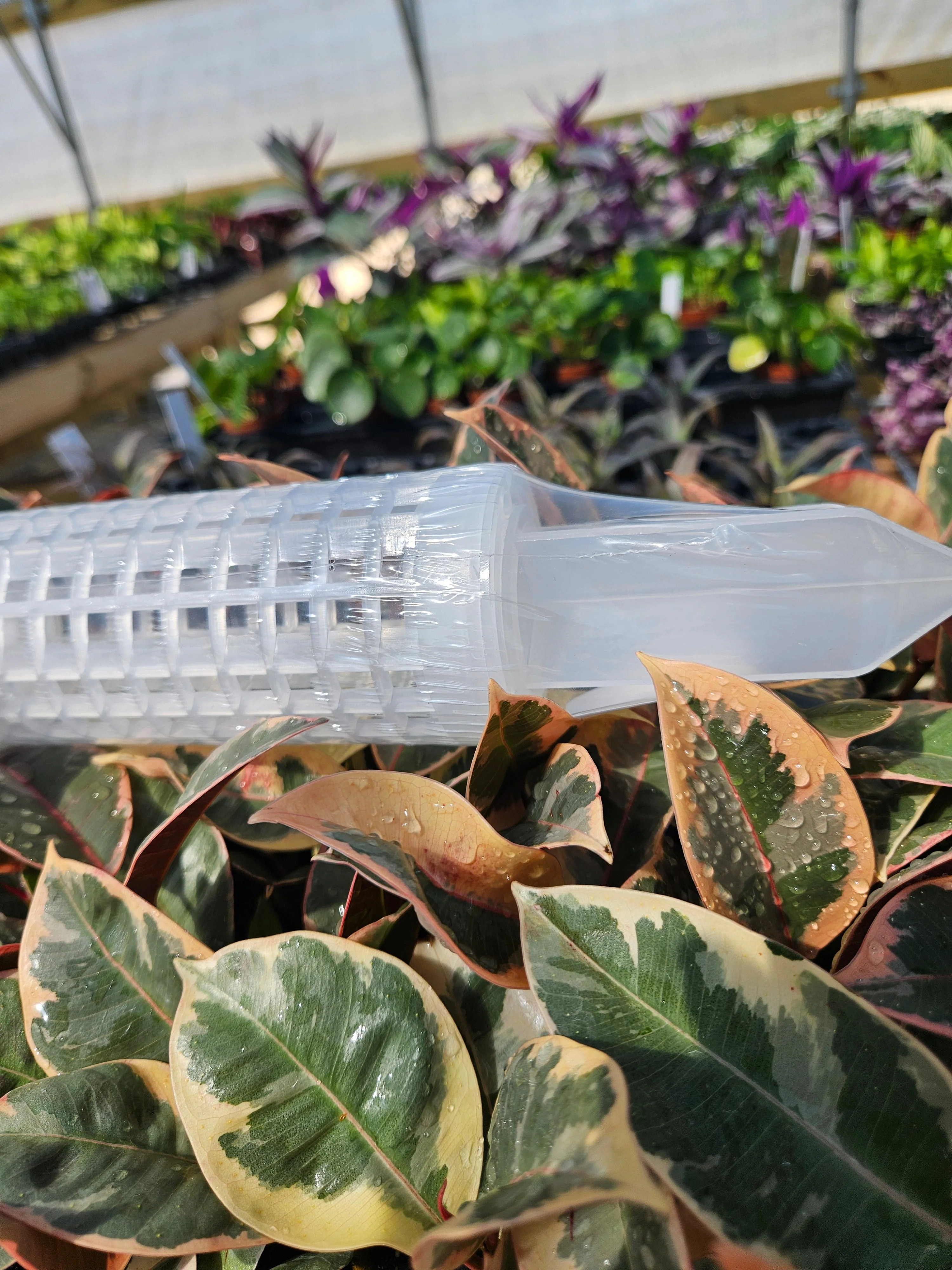 Fillable Grow Poles- 17 inches - Image 3