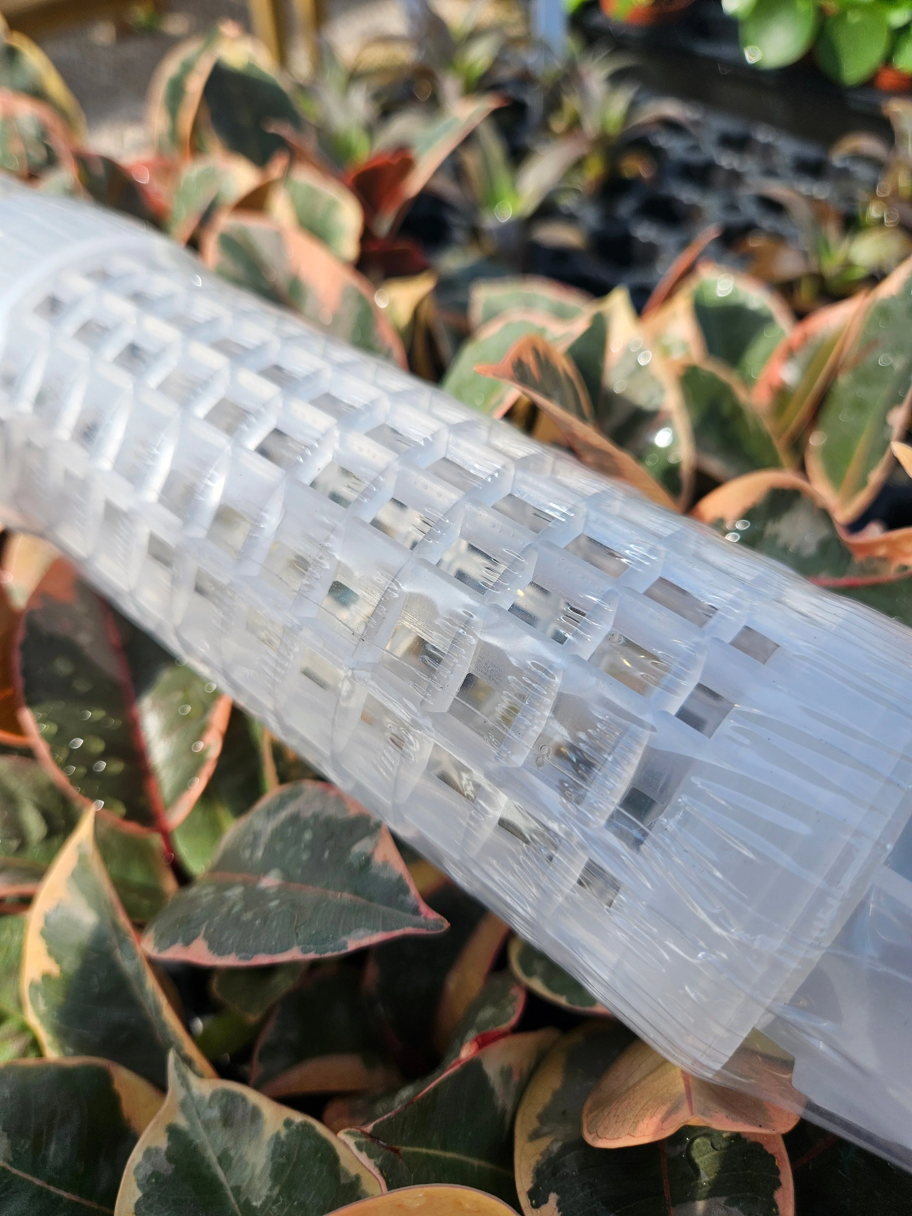 Fillable Grow Poles- 17 inches - Image 5