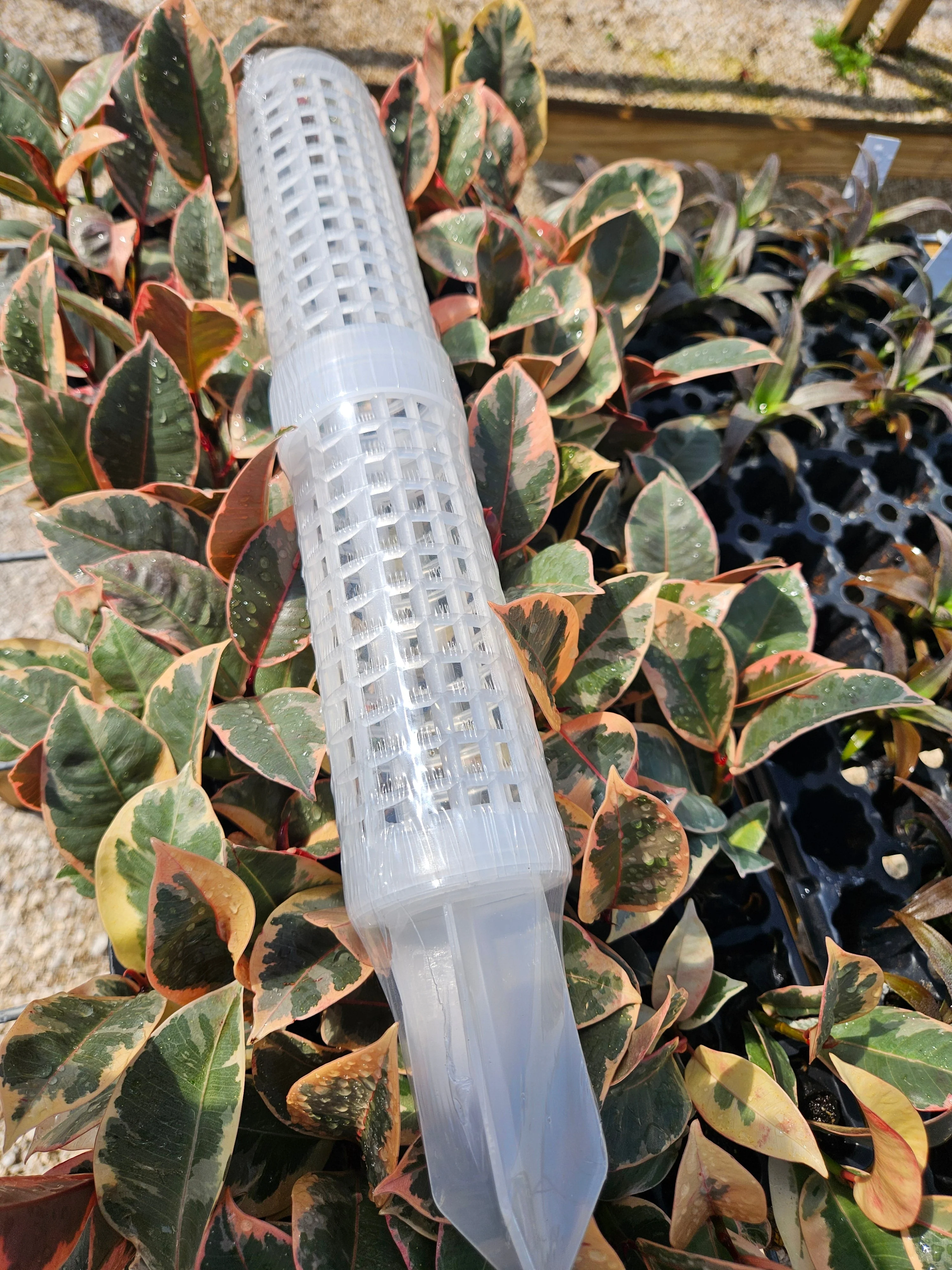 Fillable Grow Poles- 17 inches - Image 6