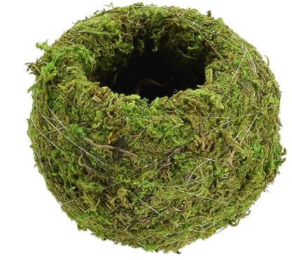 Kokedama- 4inch - Image 3